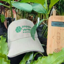 Plantas que ‘cantan’: fundación crea dispositivo que permite escuchar los sonidos de la naturaleza