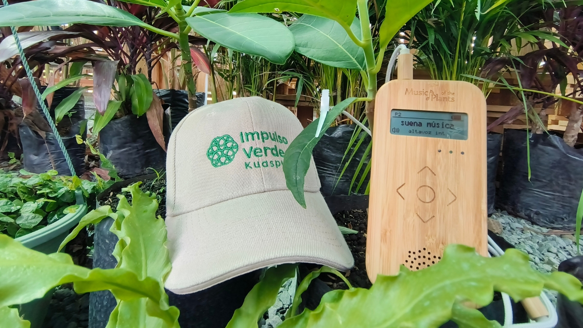 Pupitres ecológicos: así trasforma vidas la Fundación Plástico Precioso Uramba
