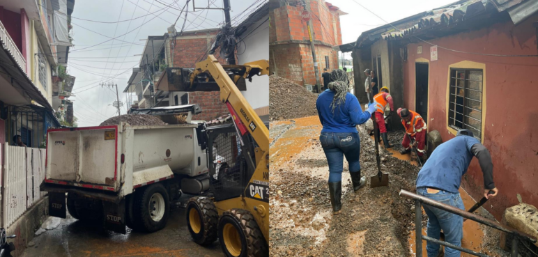 Lluvias en Cali: avanzan labores de remoción y levantamiento de árboles caídos