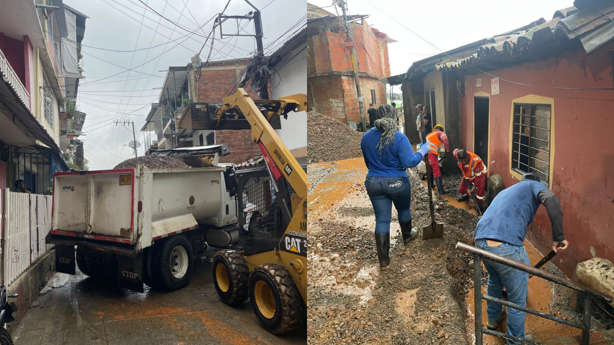 Lluvias en Cali: avanzan labores de remoción y levantamiento de árboles caídos