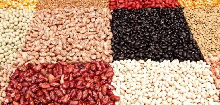 Cinco razones para consumir legumbres: una clave para prevenir enfermedades