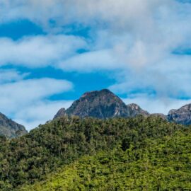 Nuevas estrategias para proteger el Parque Nacional Natural Farallones, ¿qué acciones se tomarán?