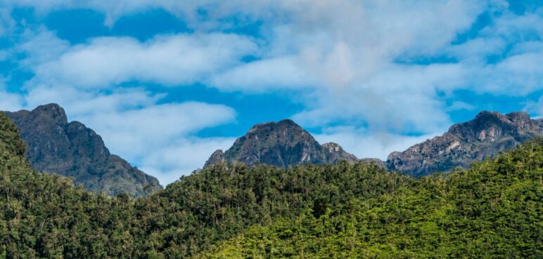 Nuevas estrategias para proteger el Parque Nacional Natural Farallones, ¿qué acciones se tomarán?