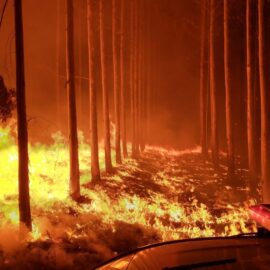Incendios en Argentina: más de 100.000 mil hectáreas quemadas