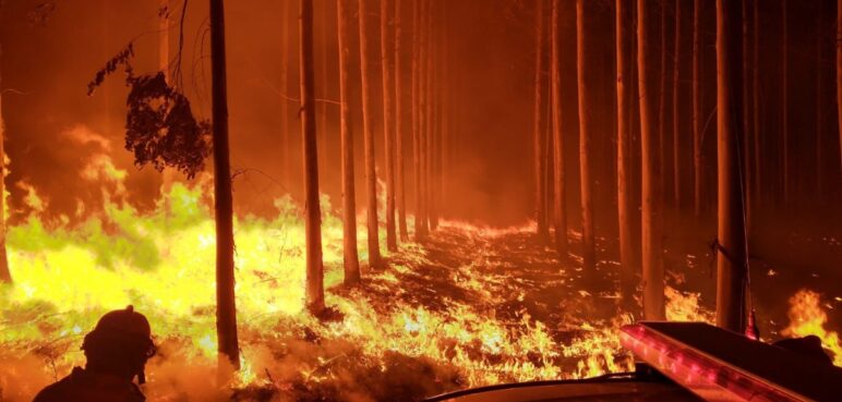 Incendios en Argentina: más de 100.000 mil hectáreas quemadas