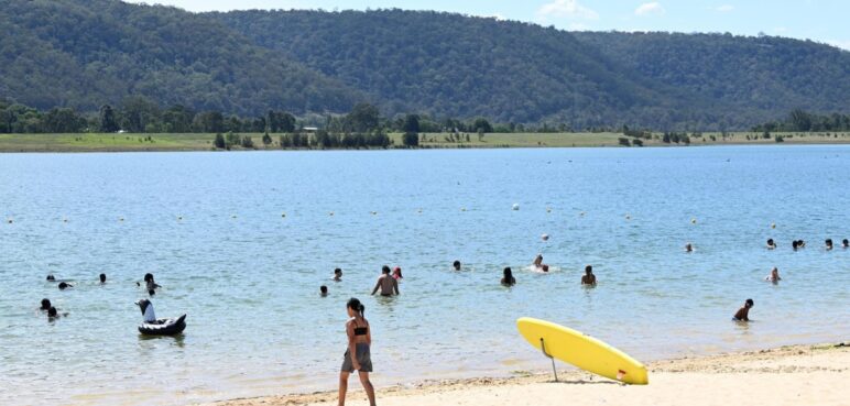 Fallece adolescente por ataque de tiburón en Australia
