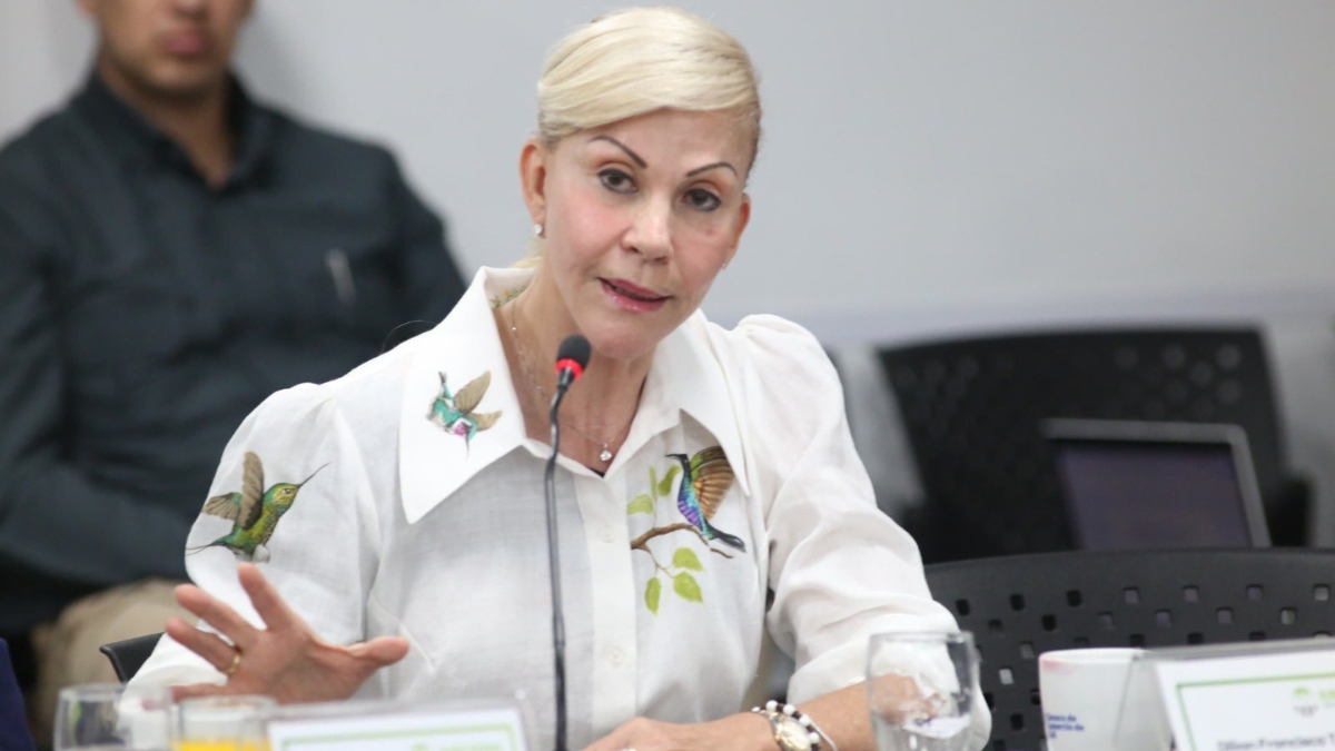 Alerta temprana en el Valle: Gobernadora realiza mesas interinstitucionales para su seguimiento