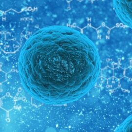 ¿Qué es la regeneración celular?, Conozca las partes del cuerpo que se regeneran