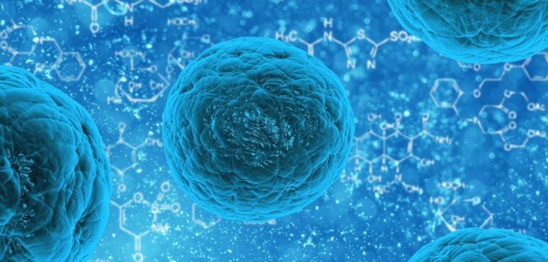 ¿Qué es la regeneración celular?, Conozca las partes del cuerpo que se regeneran