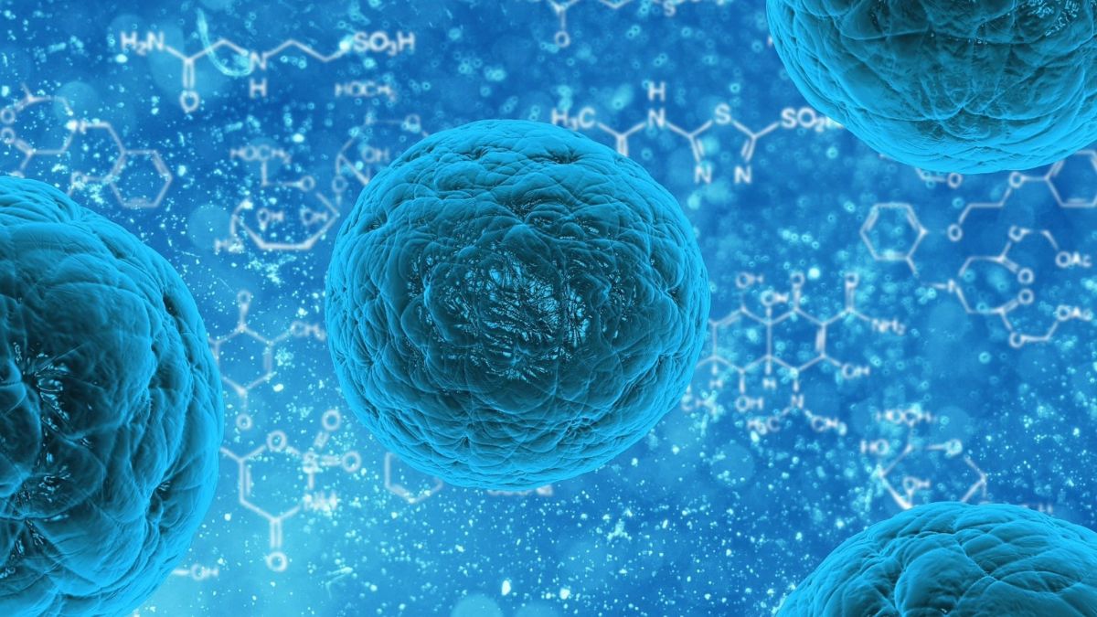 ¿Qué es la regeneración celular?, Conozca las partes del cuerpo que se regeneran