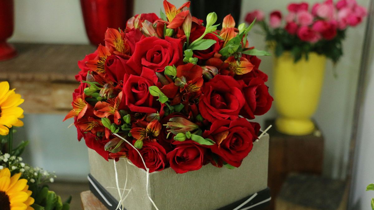 ¿Quién era San Valentín? esta es su increíble historia