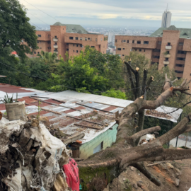 Seis días sin respuesta: comunidad de Bataclán pide ayuda tras caída de árbol sobre vivienda