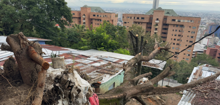 Seis días sin respuesta: comunidad de Bataclán pide ayuda tras caída de árbol sobre vivienda