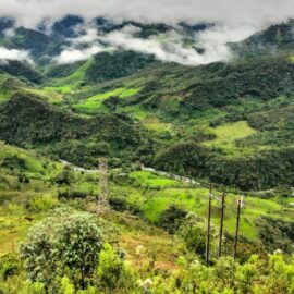 Semana de la Biodiversidad en Cali: La UAO se suma a la agenda académica