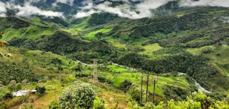 Semana de la Biodiversidad en Cali: La UAO se suma a la agenda académica