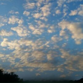 El paraíso de la biodiversidad en el Valle del Cauca