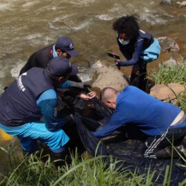 Descubren nuevas especies de peces en el río Cali; esto dice investigación