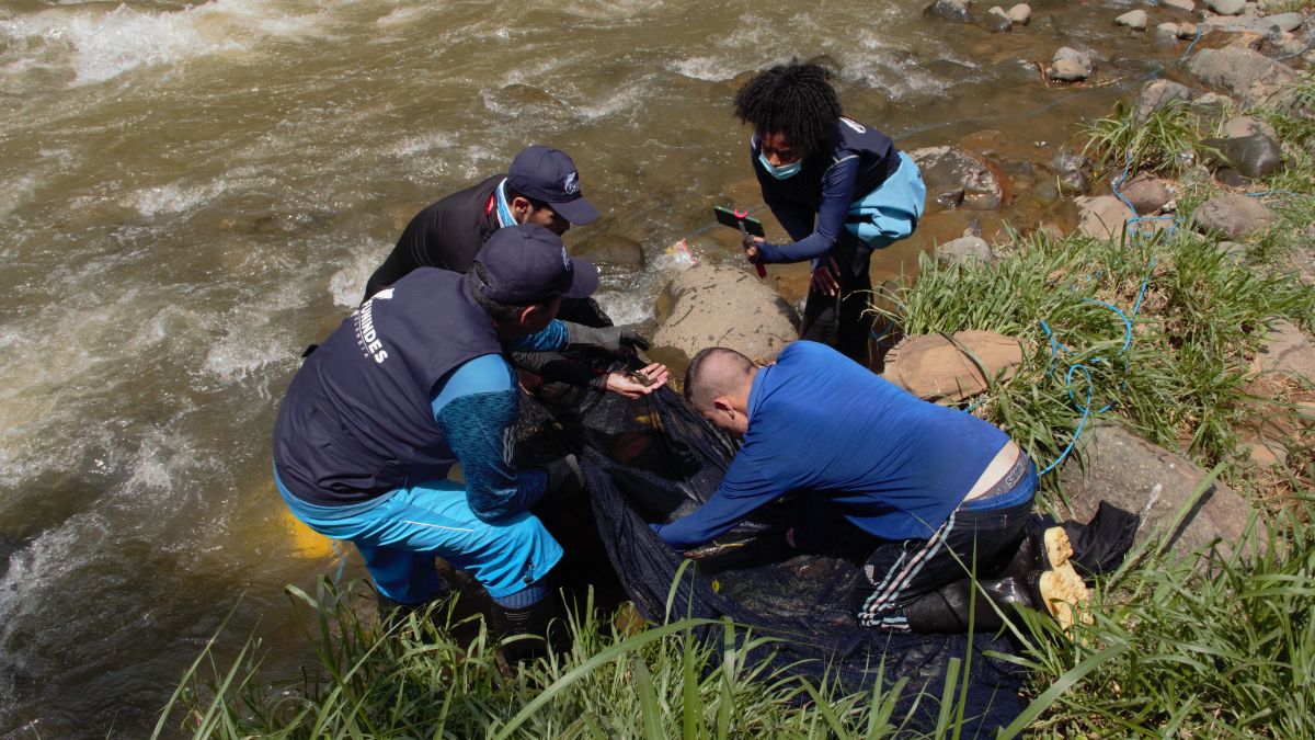 Descubren nuevas especies de peces en el río Cali; esto dice investigación
