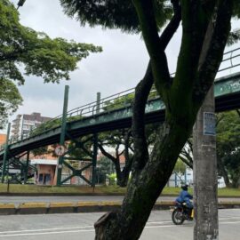 Cali registra alrededor de 11 peatones fallecidos en accidentes viales en lo corrido de 2025