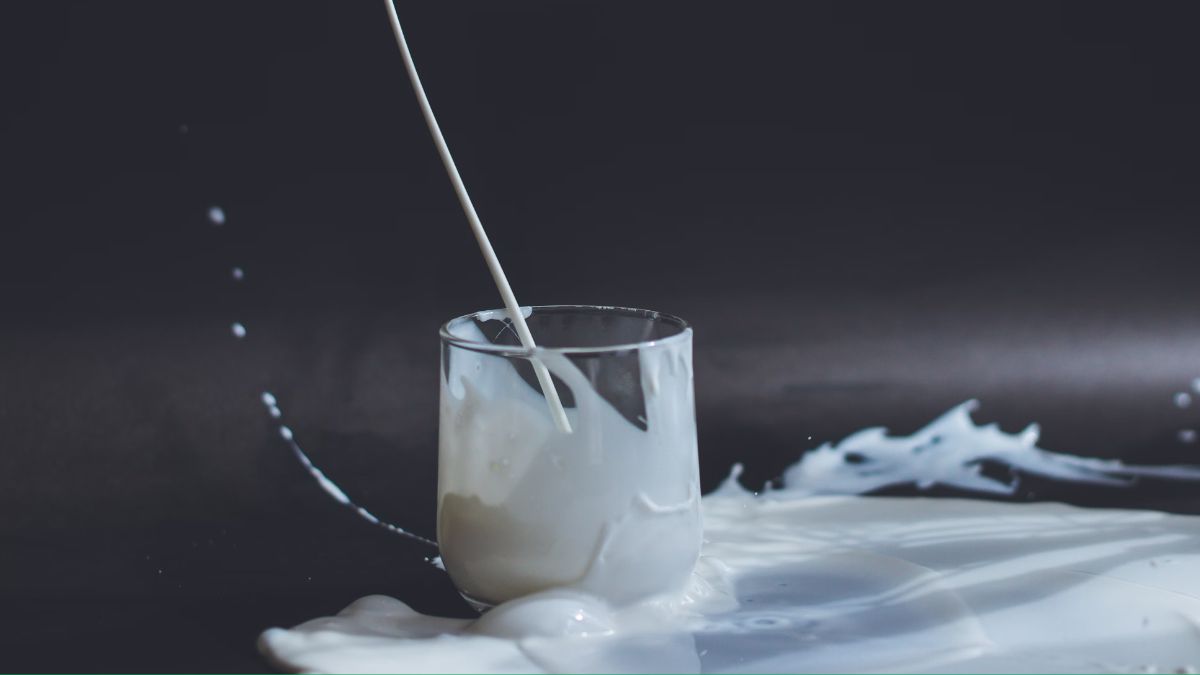 leche (2)