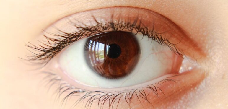 Este es el color que tu ojo detecta más rápido:  Y no es el que piensas