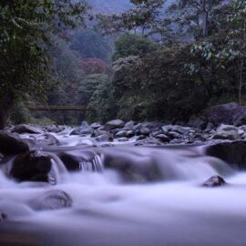 Cali será sede del Encuentro "Ciudadanos del Río: comunidades creadoras"; así puede participar