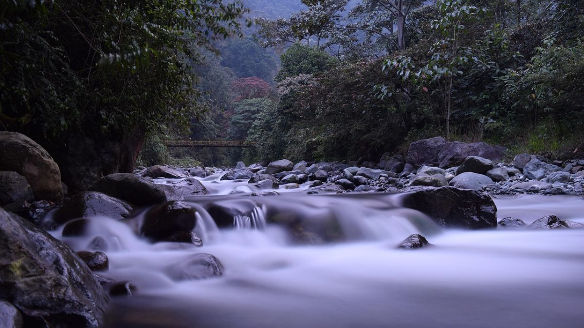 rio cali