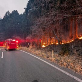 Seis días de incendio forestal en Japón: las llamas continúan propagándose en el noreste del país