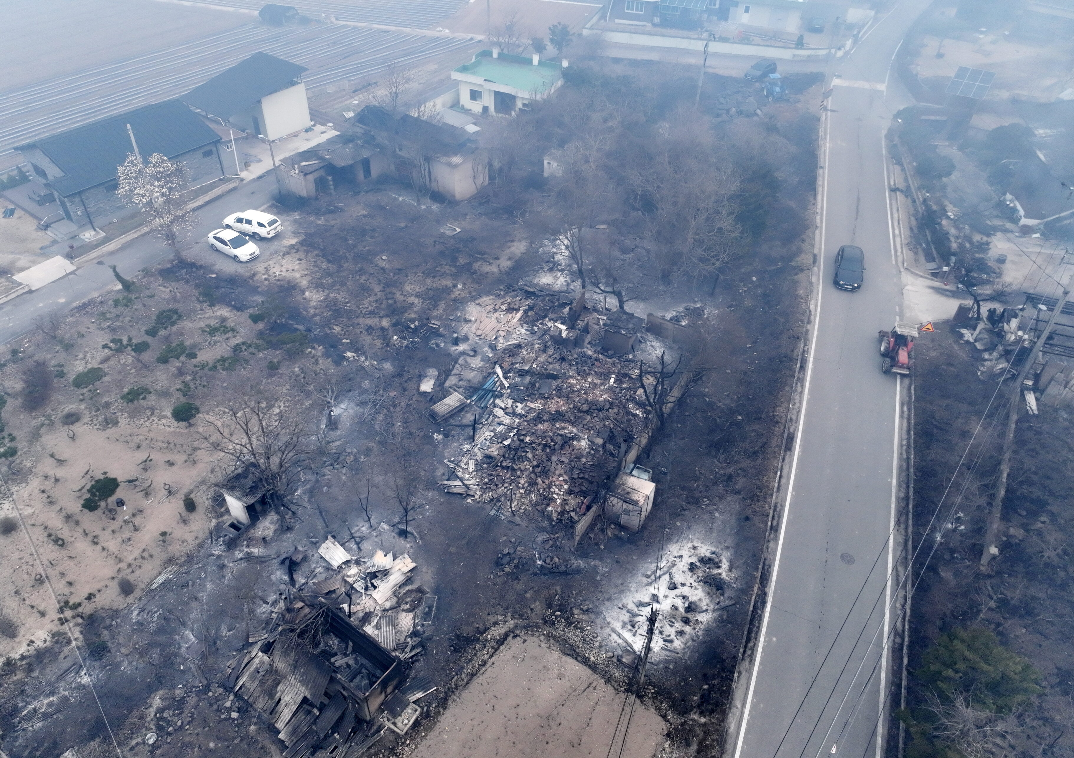 Fuertes vientos intensifican incendios forestales en Corea del Sur; hay al menos 24 fallecidos