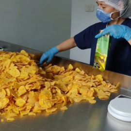 Chips de plátano del Valle: una industria en crecimiento para la exportación