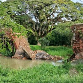 Histórico puente de Calicanto colapsa por completo en Caloto, Cauca