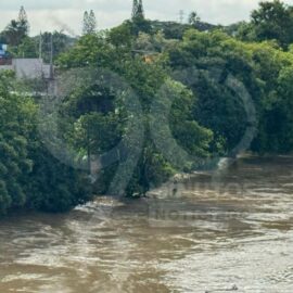 ¿Cómo se encuentra el nivel del río Cauca en Cali tras las lluvias de las últimas horas?