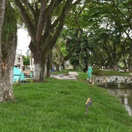 ¿Qué se puede hacer en Zarzal? guía para visitantes del 'dulce' municipio