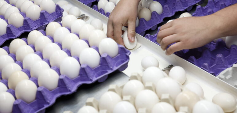 El precio de los huevos llega a niveles récord en EE. UU., ¿cuál es la razón?