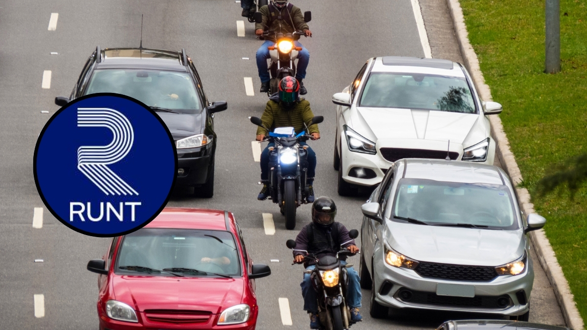 ¿Cómo registrarse y pagar el Pico y Placa Solidario 2025? Aquí el paso a paso