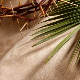 El verdadero significado de la entrada triunfal de Jesús en Domingo de Ramos
