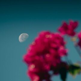 ¿Cuáles serán los fenómenos astronómicos de mayo de 2025?