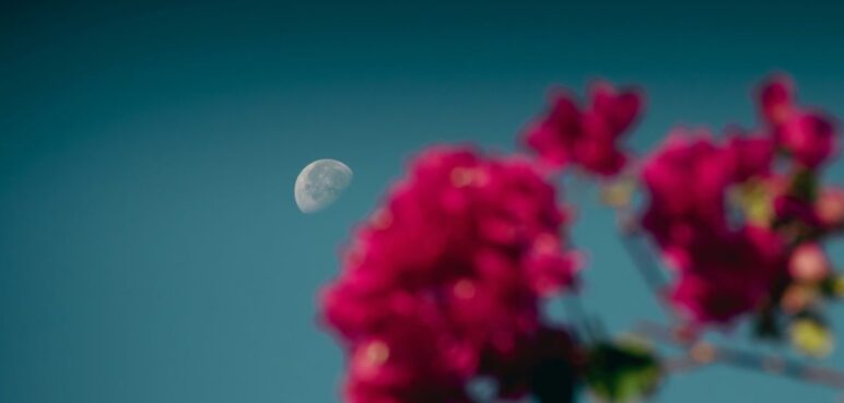 ¿Cuáles serán los fenómenos astronómicos de mayo de 2025?