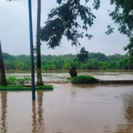 Emergencias por lluvias en el Valle del Cauca: Autoridades emiten llamado a la prevención