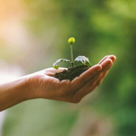 Día de la Tierra 2025: cómo cuidar el planeta con acciones sencillas y sostenibles
