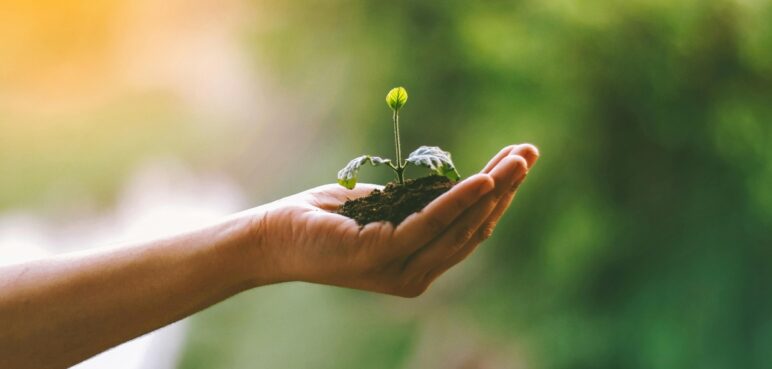Día de la Tierra 2025: cómo cuidar el planeta con acciones sencillas y sostenibles