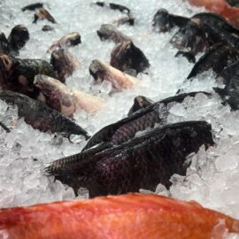 Precaución ante la venta de pescado en Semana Santa en el Valle: aquí las recomendaciones