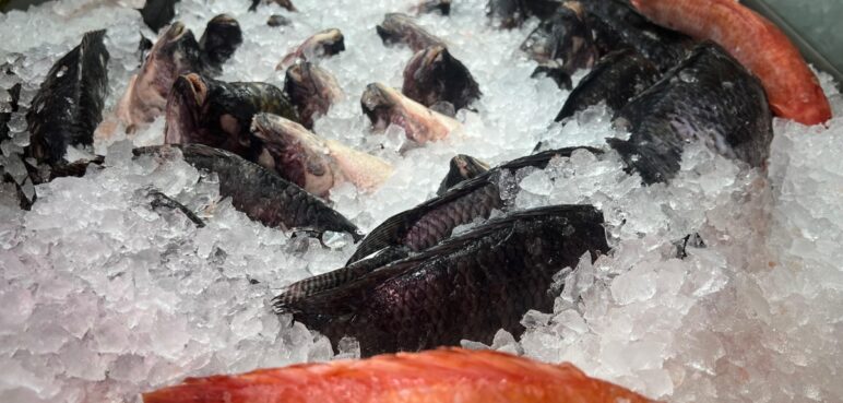 Precaución ante la venta de pescado en Semana Santa en el Valle: aquí las recomendaciones