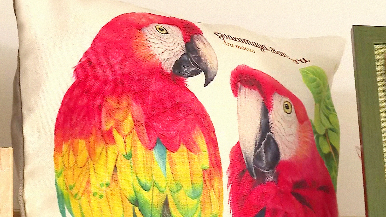 Diseño sostenible en Cali: plásticos convertidos en arte de la biodiversidad