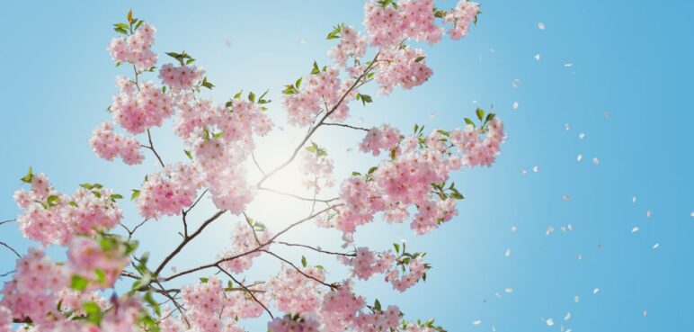 ¿Cuál es el pronóstico del clima para Cali hoy lunes?