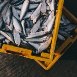¿Sabe elegir un pescado fresco? estos detalles le pueden dar una pista, téngalos en cuenta