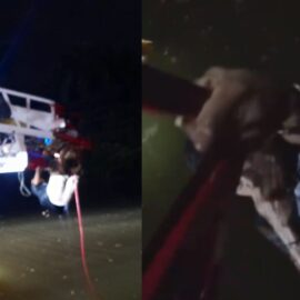 Video | Vehículo cayó en el Lago de la Babilla: Así fue el rescate de dos personas