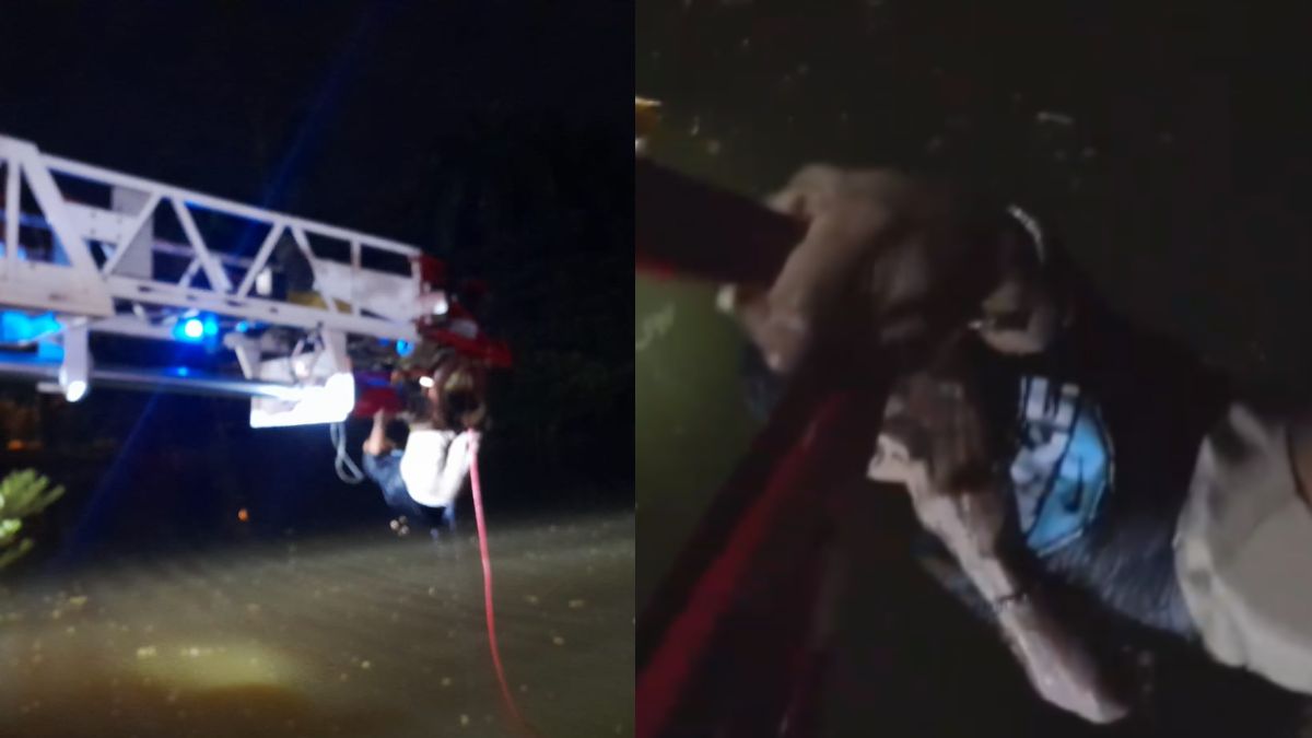 Video | Vehículo cayó en el Lago de la Babilla: Así fue el rescate de dos personas