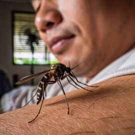Autoridades intensifican medidas para prevenir el dengue en Valle del Cauca