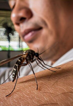 Autoridades intensifican medidas para prevenir el dengue en Valle del Cauca